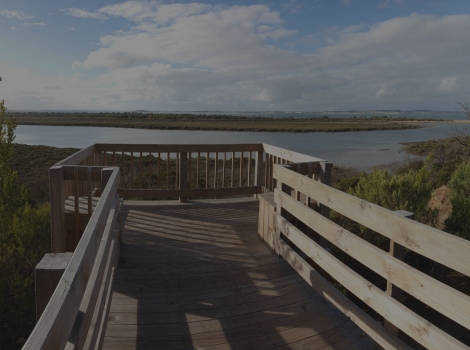 Western Port Biosphere website