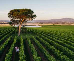 Off Peak Weddings website